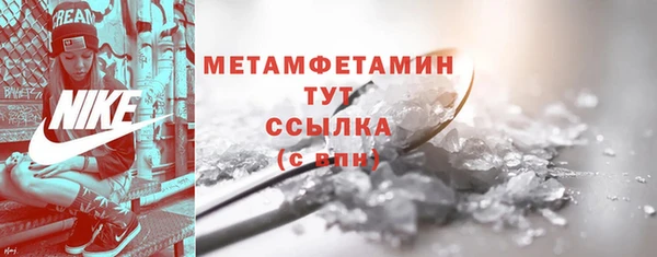 прущие грибы Кинешма