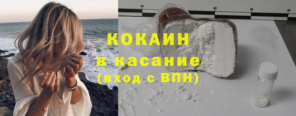 стафф Касимов