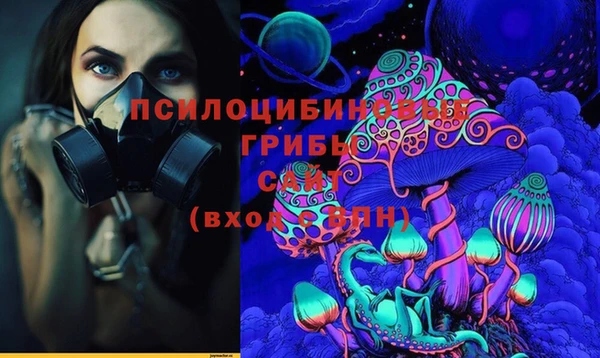 прущие грибы Кинешма
