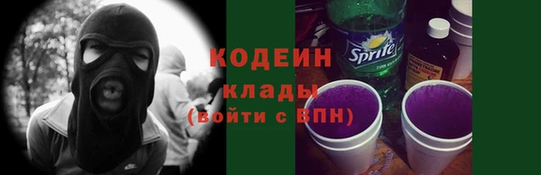 стафф Касимов