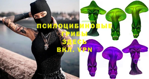 a pvp Карпинск