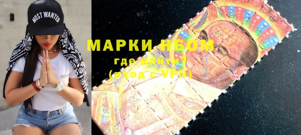 стафф Касимов