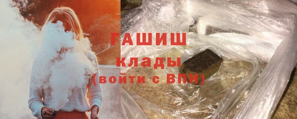 стафф Касимов