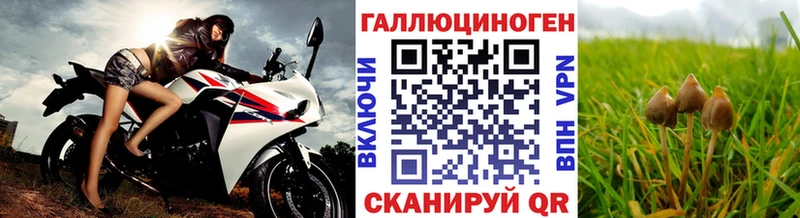 Псилоцибиновые грибы GOLDEN TEACHER  Купить  Бокситогорск 